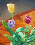 Tres tulipanes